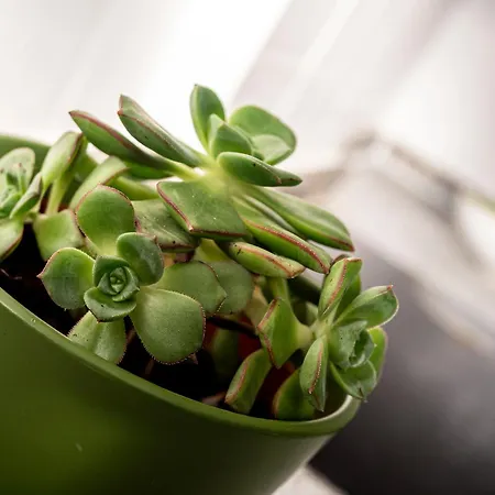 Apartamento A Estrenar 3 Hab 公寓 拉科鲁尼亚